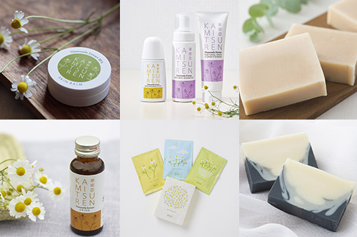 Beauty and Wellness(ビューティー&ウェルネス)